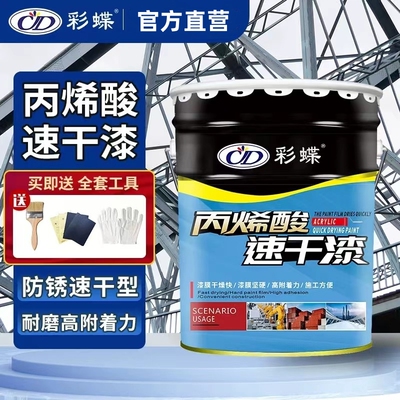 14公斤彩蝶速干油漆防腐防锈丙烯酸漆钢结构栏杆快干漆油性金属漆