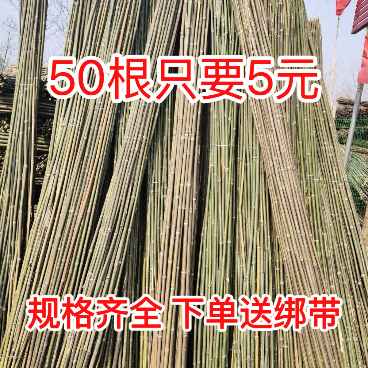 竹竿菜园搭架竹子户外旗杆黄瓜豆角爬藤菜架竹杆支架豇豆搭架杆