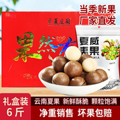 云南夏威夷果坚果礼盒装 云夏庄园夏威夷果新果6袋伴手礼年货零食