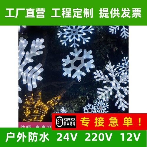 LED圣诞发光雪花灯户外防水元旦新年街道装饰彩灯工程亮化挂树灯