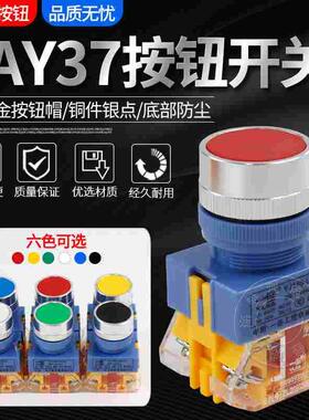 一佳LAY37-11BN电源启动点动自复位按钮开关平钮22mm红绿色Y090