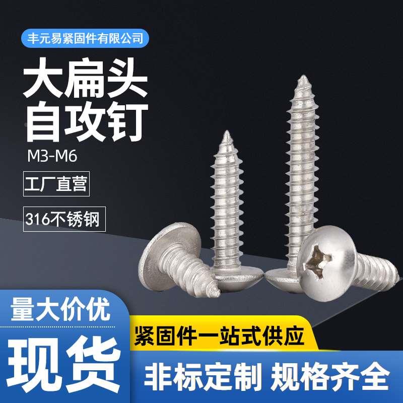 M3M4M5M6 不锈钢316大扁头蘑菇头伞头十字自攻螺丝钉6x8x10x120x6