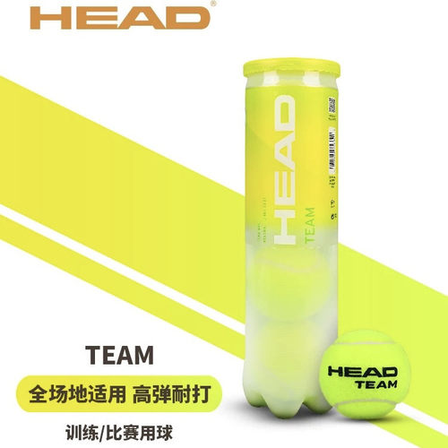 HEAD海德专业训练网球TEAM系列4粒装耐打高弹