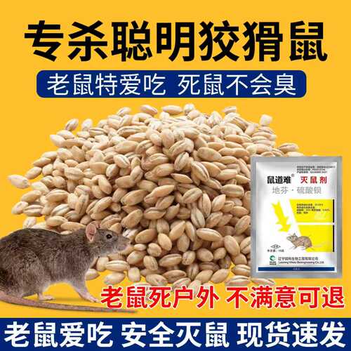 鼠道难家用灭鼠饵剂一窝端