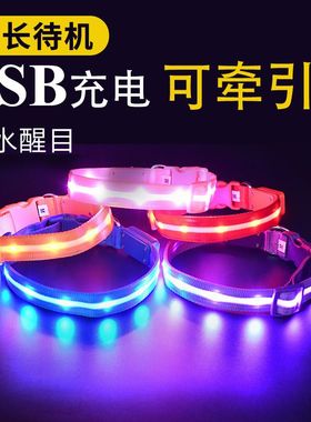 发光项圈狗狗夜间晚上遛狗灯电池充电小中大型犬宠物带反光夜行灯