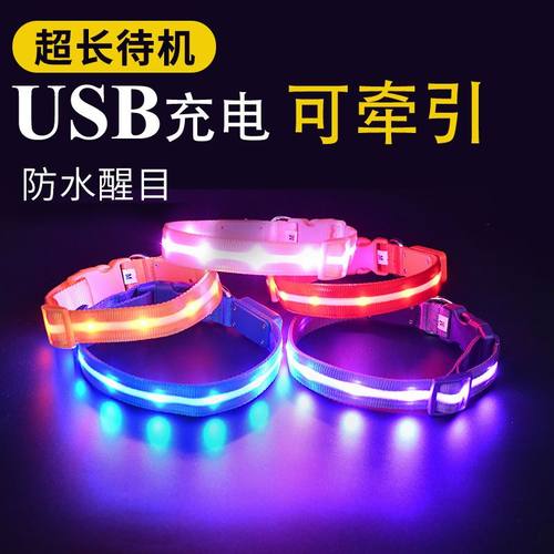 狗狗发光项圈夜间晚上遛狗灯充电