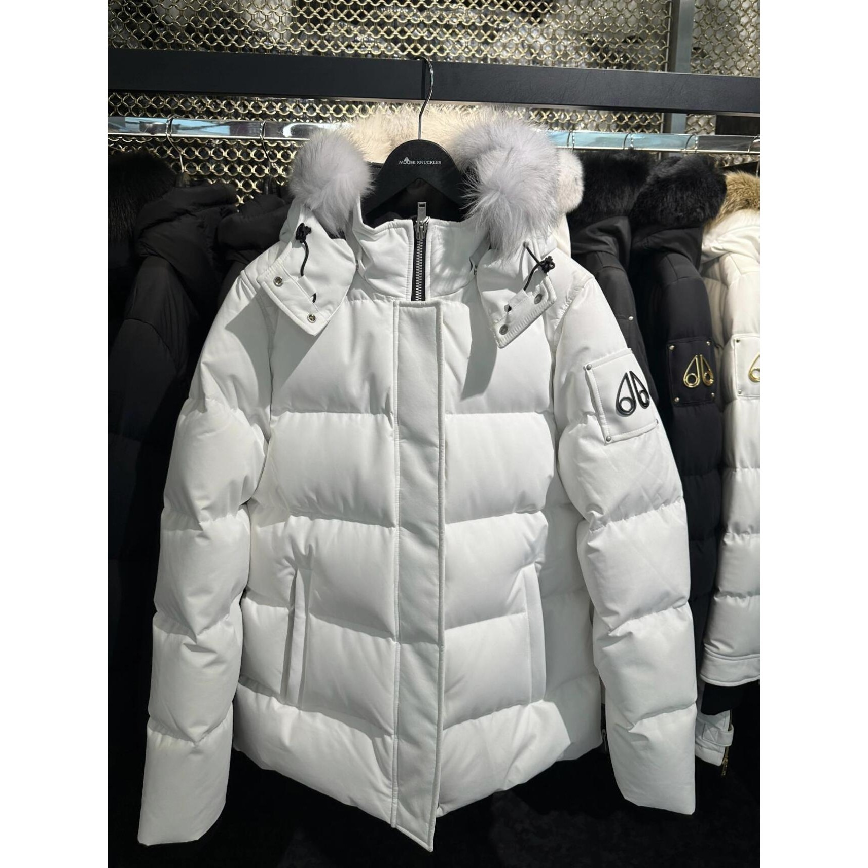 【早鸟价】加拿大多伦多moose202