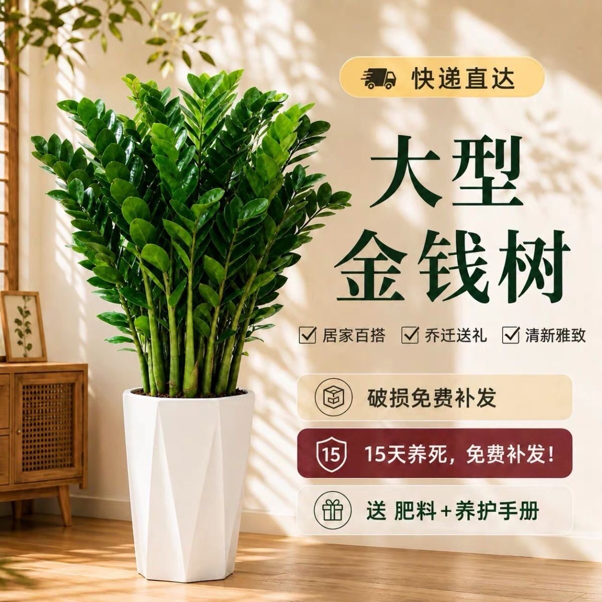 金钱树盆栽植物室内大绿植钱串子招财客厅四季常青发财树净化空气