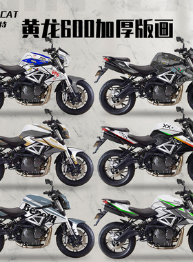 耐凯特NIGHTCAT 贝纳利黄龙TNT600贴花改装贴纸车贴拉花版花全车