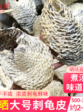 原装生晒刺龟鱼皮干货大号干鱼皮刺鱼皮淡干刺鲀鱼干煲汤食材