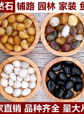 雨花石原石天然鹅卵石鱼缸造景铺底石头花盆装饰小石子铺地鹅软石