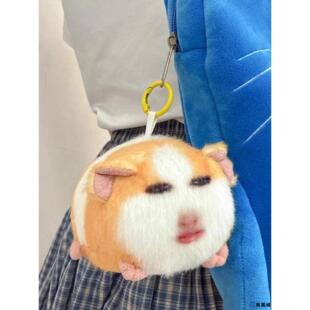 仙女下凡荷兰猪表情包猪妞玩偶手办挂件周边毛绒玩具录音发声公仔