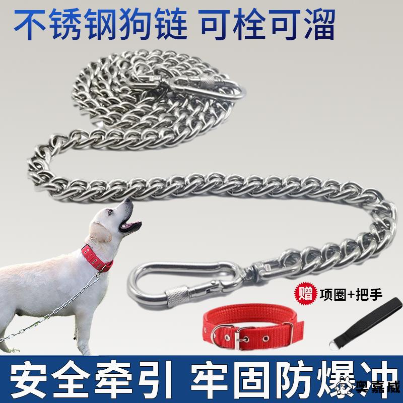 狗狗牵引绳大中型犬狗链子不锈钢项圈金毛边