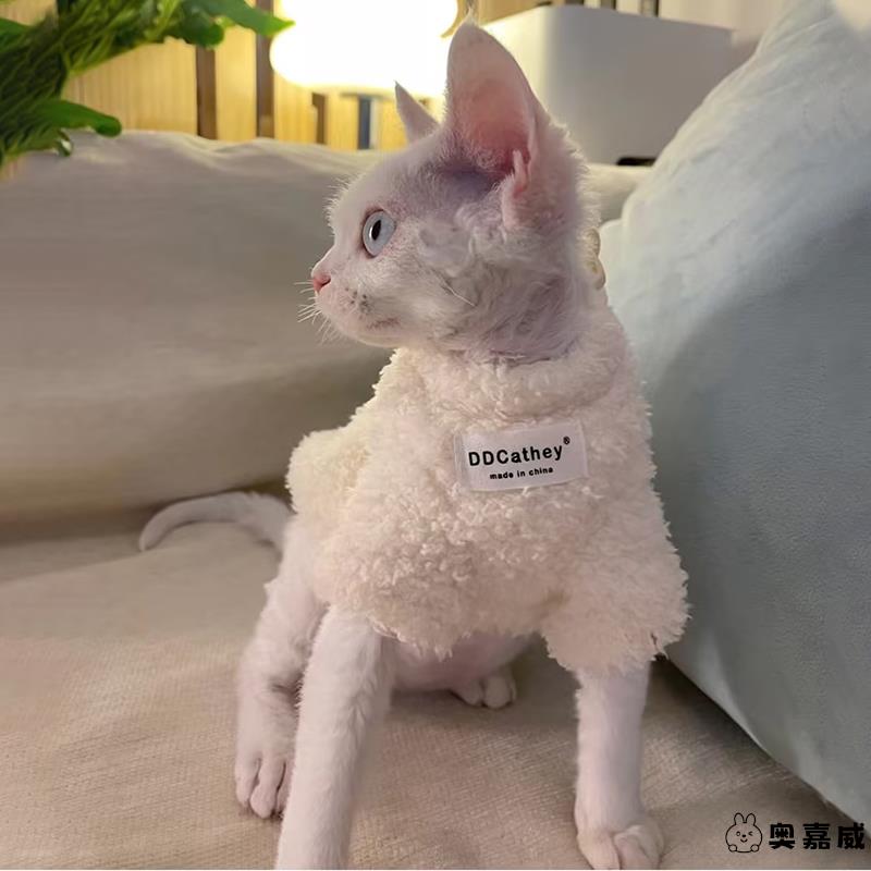 猫咪冬天保暖衣服卷毛德文猫专用冬款冬季幼