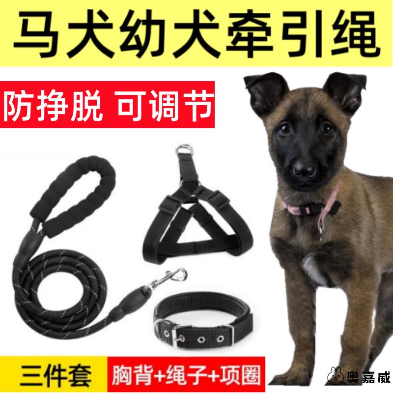 马犬幼犬专用牵引绳狗链小狗狗大型犬狗绳子