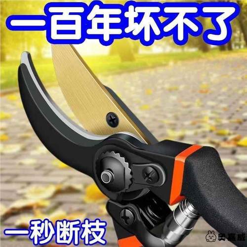 果树剪枝专用剪刀剪刀修枝剪园艺花剪剪树枝