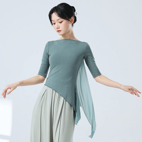 现代舞练功服女新款舞蹈服上衣中国舞古典舞成人飘纱身韵形体服装
