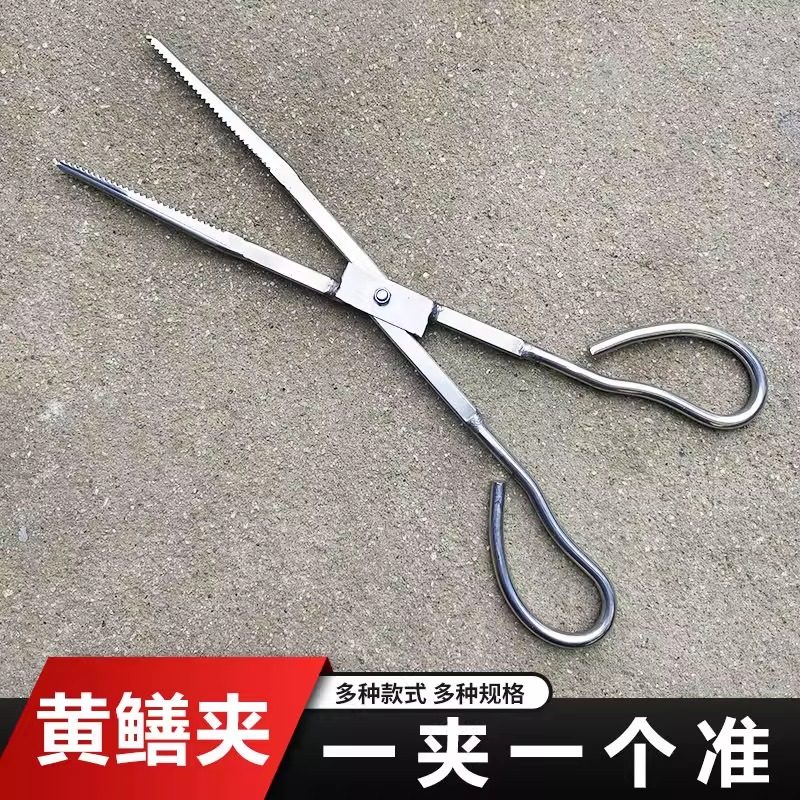 新款加厚不锈钢鳝鱼钳防滑防脱黄鳝夹鳝鱼夹泥鳅虫子钳捉控工具