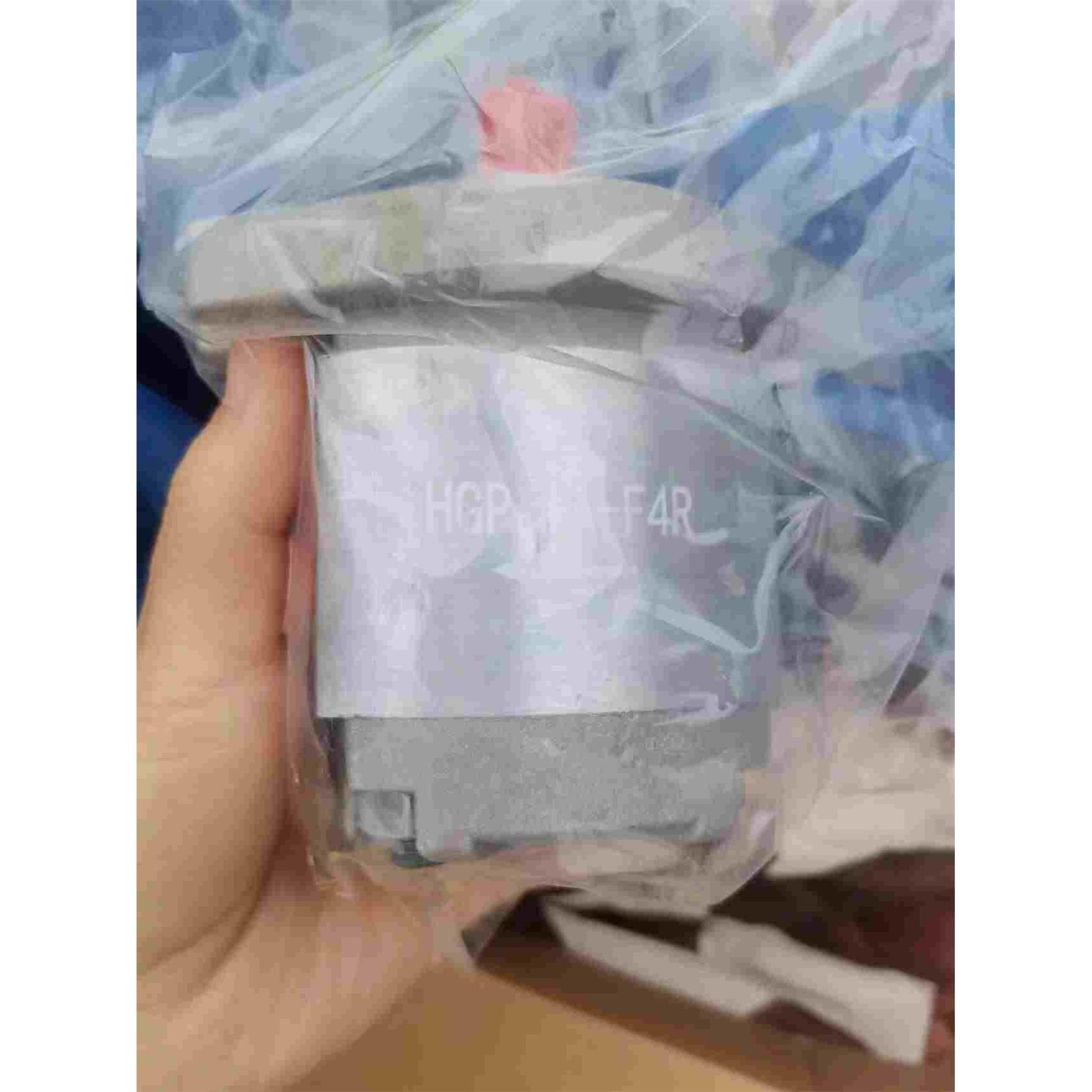 齿轮泵HGP- 1A 2A 3A-F 4 5 6 8 12 9 R L RX 2B 4B反转4孔