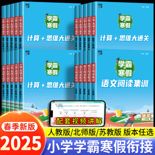 2025学霸的寒假衔接作业小学一二三四五六年级上下册全套学霸预科班课堂笔记语文阅读集训数学计算思维题大通关人教版预复习一本通
