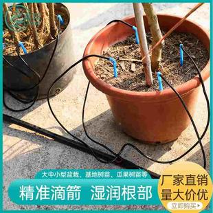 果园盆栽滴头滴灌滴箭 4L8L稳流器 一出四滴箭滴剑套装 滴灌设备