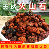 云南天然火山石颗粒兰花多肉铺面石拌土鱼缸垫底红火山岩透水滤材