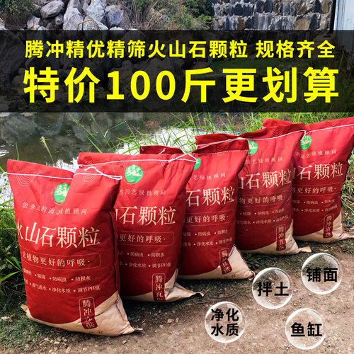 火山石云南兰花多肉营养土造景