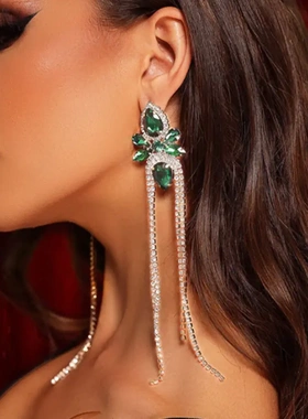 欧美时尚水钻几何流苏耳环潮流气质个性百搭派对耳饰配饰 earring