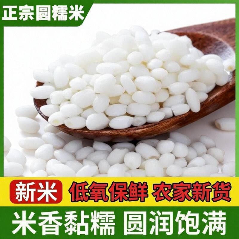正宗圆糯米农家新米多规格装粘大米杂粮香白江米粳米包粽子酒酿