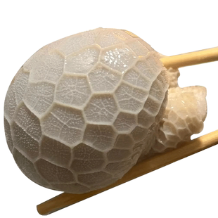 肚包肉羊肉肠内蒙古特产恩科羊肚包肉羊肠包肉新鲜生鲜即食10斤