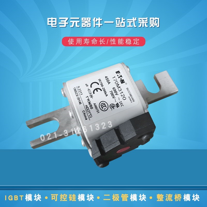 快速熔断器保险丝17h0M3169 3170 3171 3172 31L73 3188 3189 319