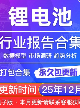 2025年中国锂电池行业发展研究分析报告合集
