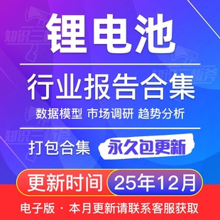 2025年中国锂电池行业发展研究分析报告合集