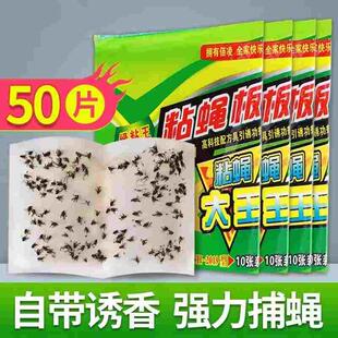 粘蝇纸苍蝇贴强力粘蝇板灭蝇子蚊子杀手克星捕捉器饭店一扫光自带