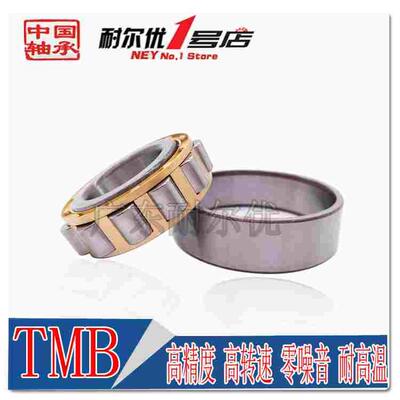 天马TMB轴承NJ2218 2219 2220 2222 2304 2305 2306 2307/E/EM