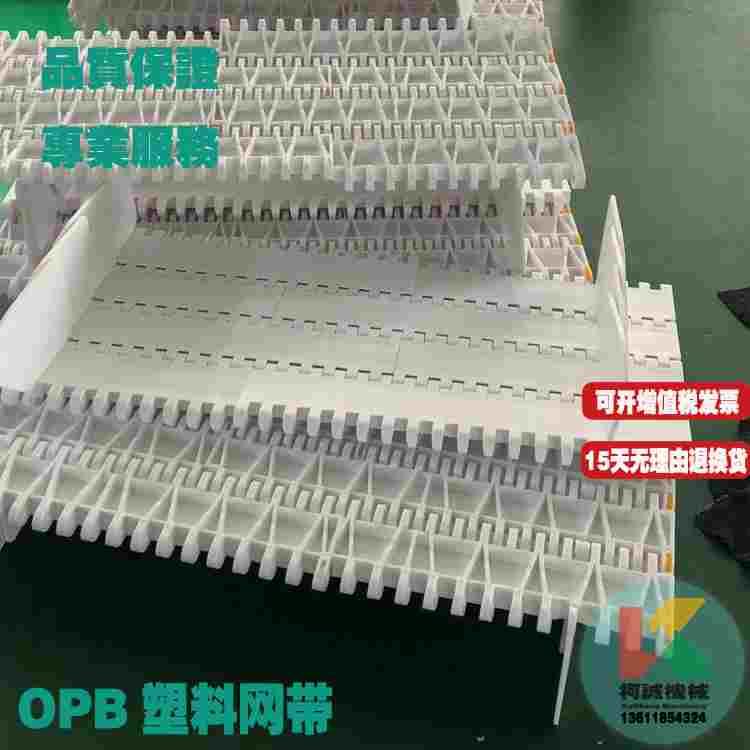 OPB平板型塑料输送网带网链50.8节距网带传送链板输送带PP食品级