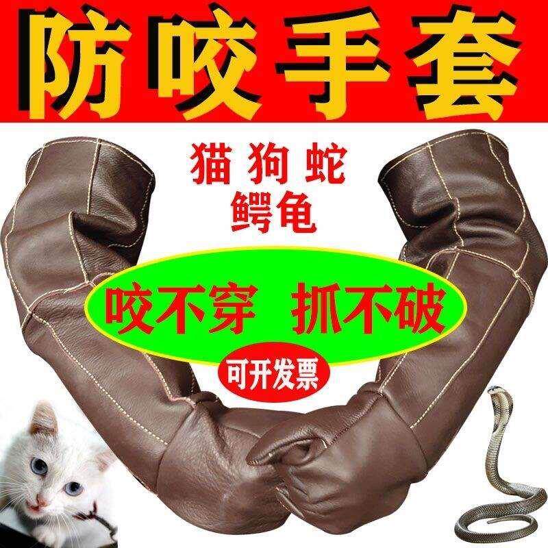 抓眼镜蛇防咬手套训犬大型猫狗鸟毒蛇凶猛动物防护厚牛皮护腿顺丰