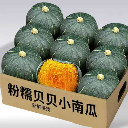 正宗贝贝南瓜粉糯孕妇婴儿辅食