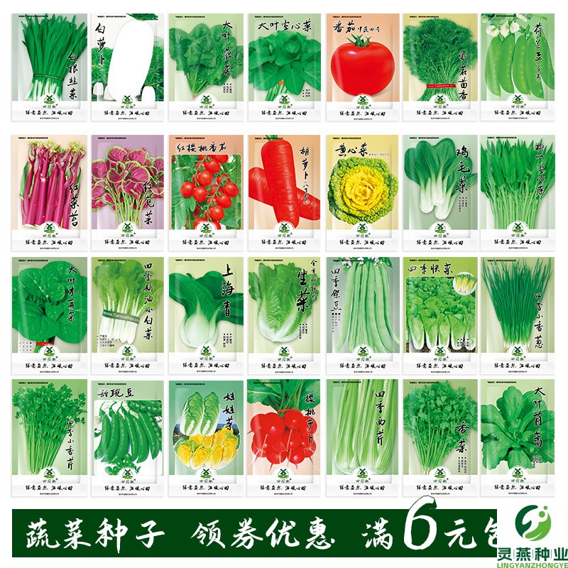 蔬菜种子盆栽阳台绿植物室内外四季农家番茄白萝卜生菠青香韭菜籽