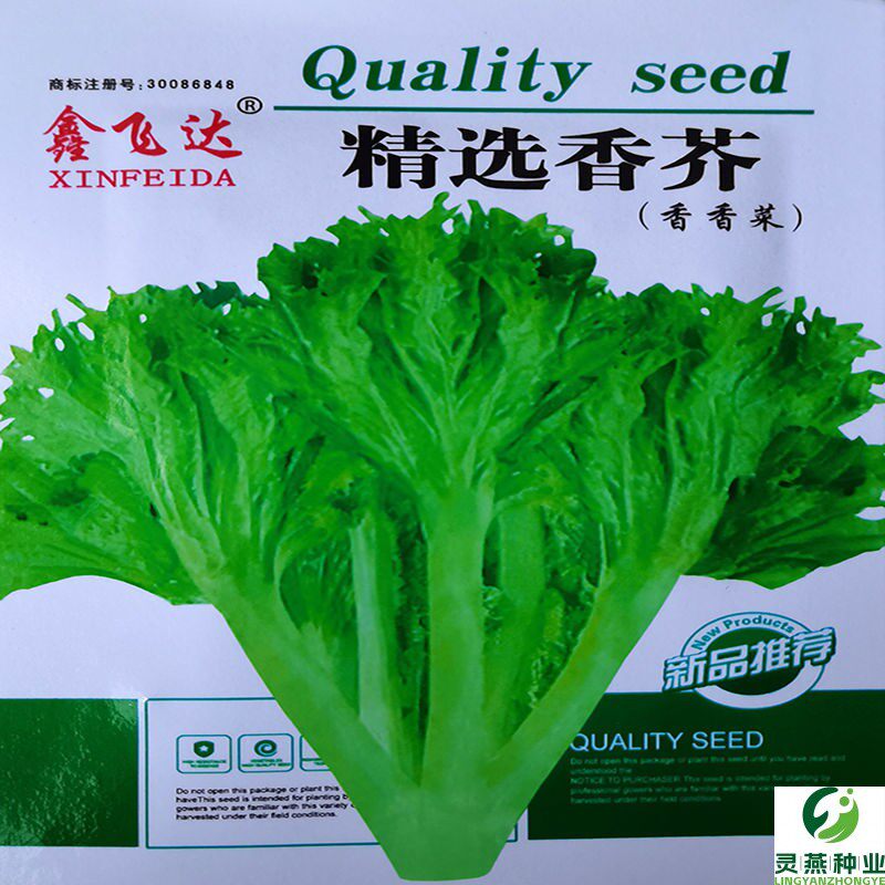 香芥菜种子香香菜饺子馅梅干菜种籽特色香芥菜种子精选田园蔬菜孑