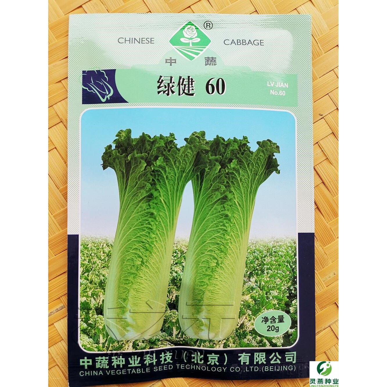 天津青麻叶大白菜种子种籽四季秋冬季蔬菜籽绍菜山东小大白菜种孑