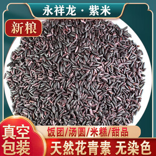 永祥龙紫米紫糯米农家老品种血糯米非黑米饭团热奶宝粽子五谷杂粮