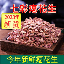 阿狸笑笑2023年新货瘪花生七彩瘪粒小秕仁花生米干瘪彩色花生零食