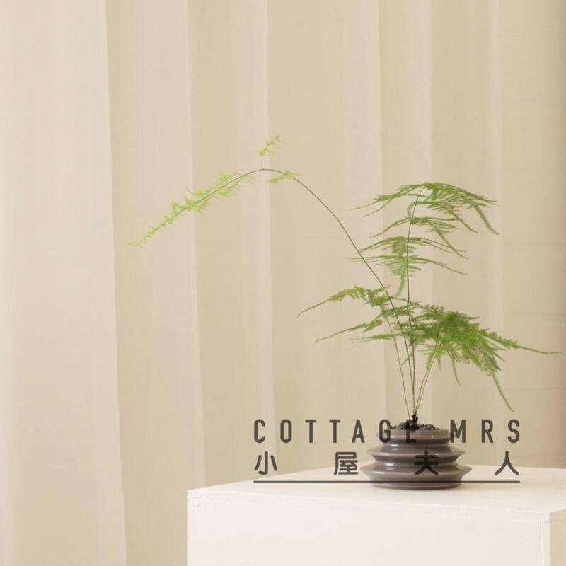 文竹云竹四季常青植物室内盆栽桌面办公室绿植花卉盆景趣味 茶桌