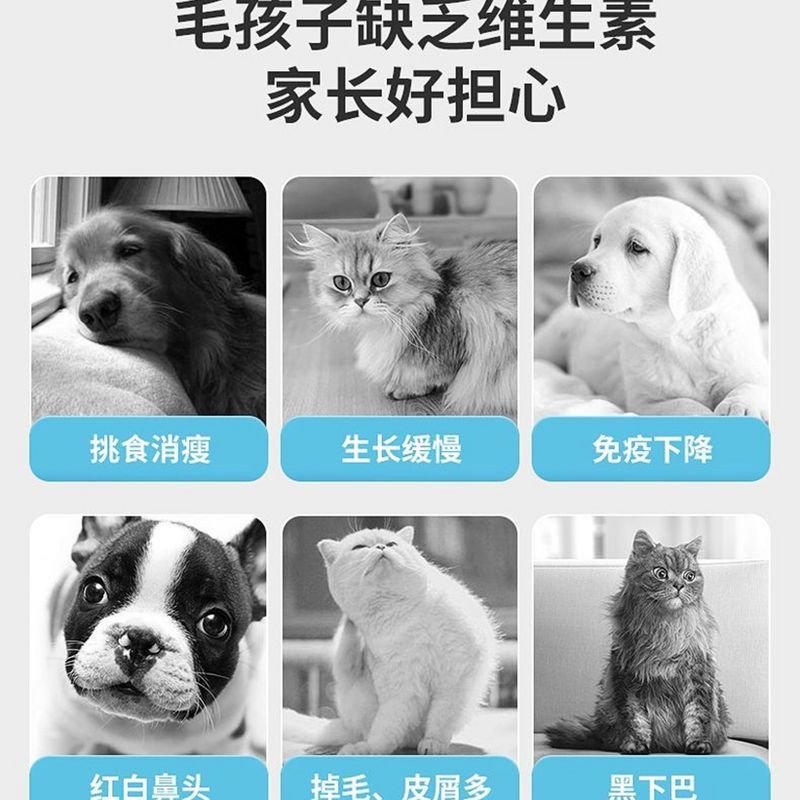 维生素片猫咪防掉毛狗狗营养多维补充宠物通用复合维生素片