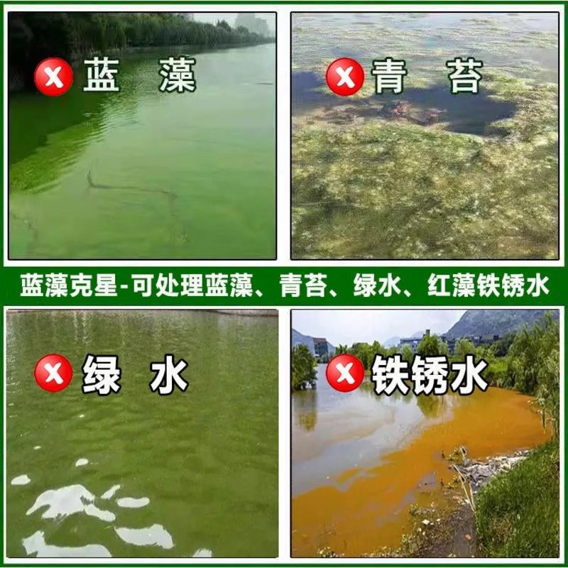 鱼池除藻剂清除鱼缸鱼塘净水剂去绿藻青苔清除剂水藻蓝藻不伤鱼