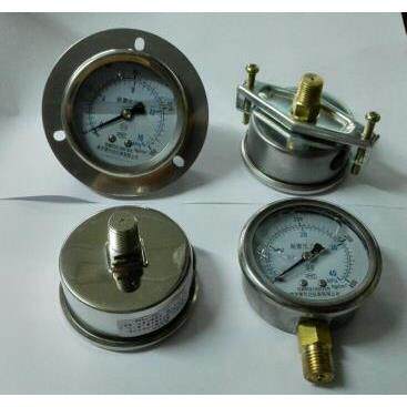 全规格 径向耐震压力表 轴向带边防振带U型支架注油 61mm