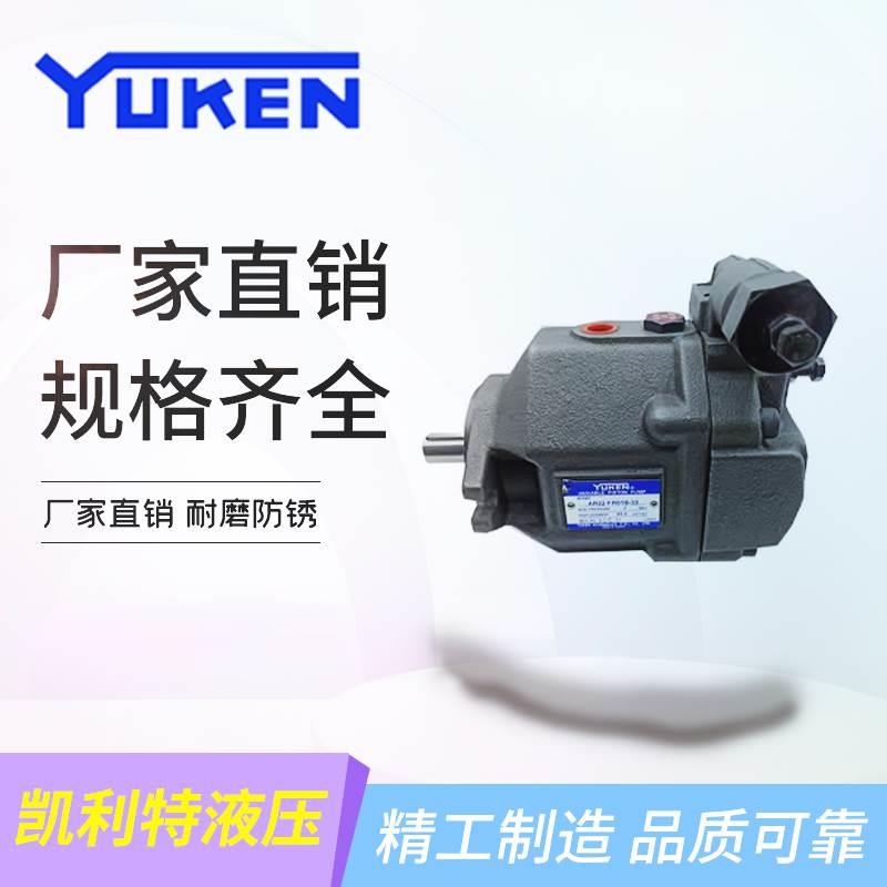 AR22-FR01C-22台湾油研YUKEN柱塞泵AR16-FR01C-22 质保一年