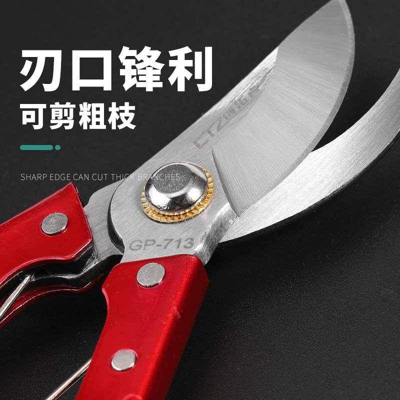 剪枝果树修枝剪刀园艺修剪树枝园林省力修花枝剪家用工具剪子神器
