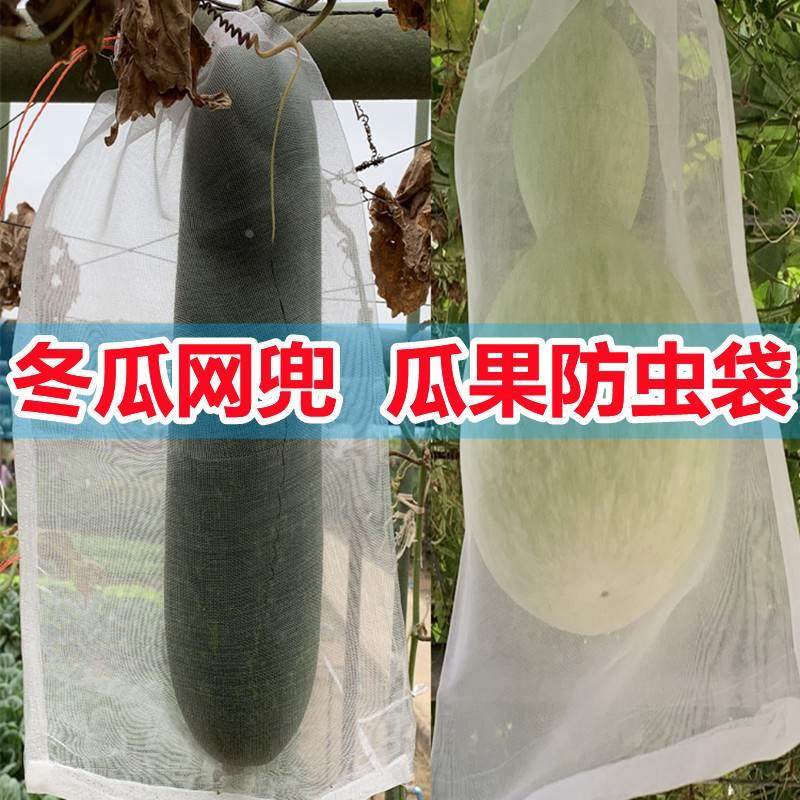 冬瓜网兜苦瓜丝瓜套袋专用袋防虫套袋防虫袋加长瓜果防虫网袋网纱,ZIPPO/瑞士军刀/眼镜,酒具,淘宝优惠券,粉丝福利购,淘宝优惠卷